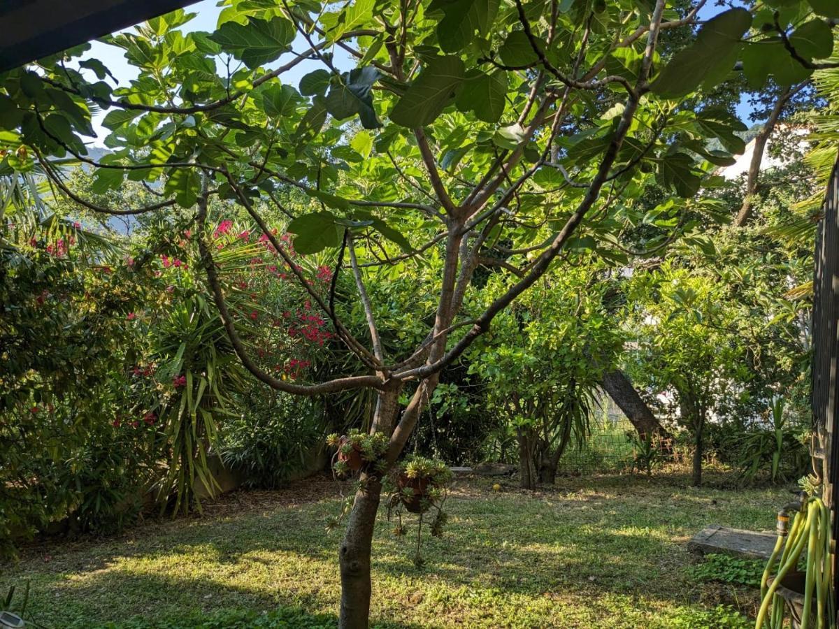 CardileLa Casa Di Lidia住宿加早餐旅馆 外观 照片