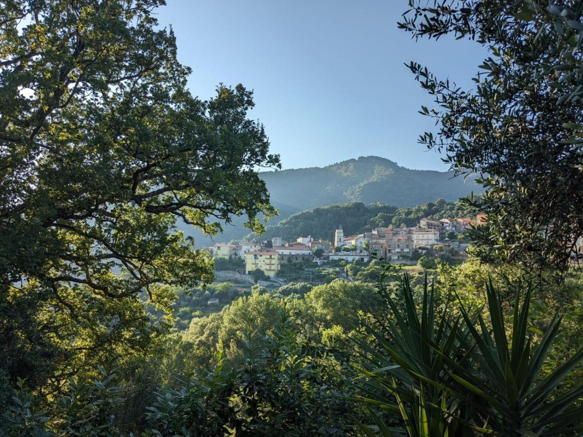CardileLa Casa Di Lidia住宿加早餐旅馆 外观 照片